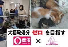 犬猫殺処分ゼロを目指すプロジェクト