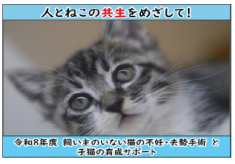 人とねこの共生をめざして！令和8年度飼い主のいない猫の不妊・去勢手術と子猫の育成サポート