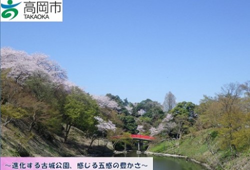 main_img