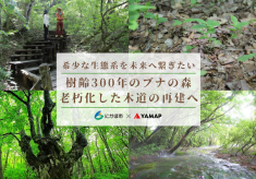 【絶景の危機】樹齢300年のブナがたたずむ中島台・老朽化した木道を再建し未来へ繋ぎたい
