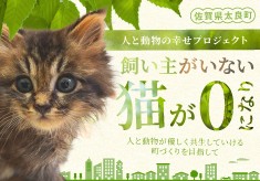 第２弾【人と動物の幸せプロジェクト】飼い主がいない猫がゼロになり、人と動物が優しく共生していける町づくりを目指して