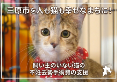 三原市を人も猫も幸せなまちに！