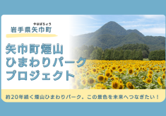 矢巾町煙山ひまわりパークプロジェクト