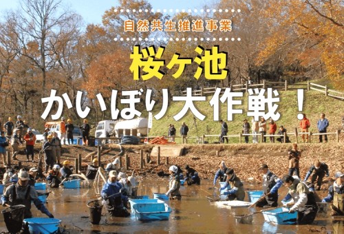 main_img
