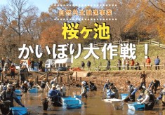 【南砺市】豊かな自然環境を守ろう！「桜ヶ池かいぼり大作戦！」