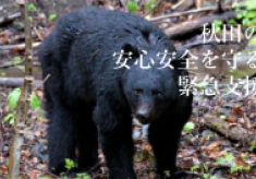 県民の安全安心を確保する対策を強化し「人とクマの健全な共存」を秋田から
