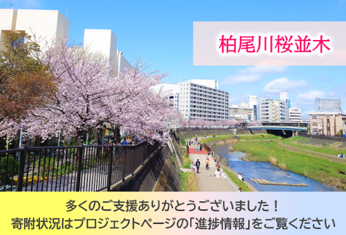 main_img