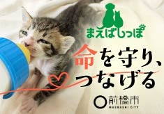 【保護犬・保護猫の命をつなぐプロジェクト】前橋市動物愛護管理センター「まえばしっぽ」 から新しいご家族へ