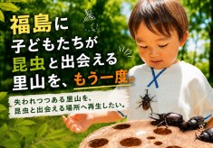 福島に子どもたちが昆虫と出会える里山を、もう一度。～失われつつある里山を、昆虫と出会える場所へ再生したい～