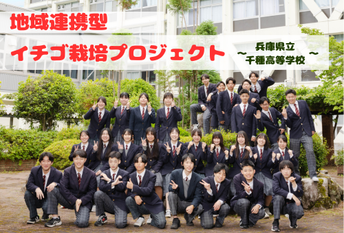 main_img