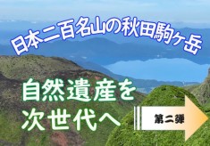 【第二弾】みちのく最大級の高山植物を誇る花の名山を守りたい！秋田駒ヶ岳の登山道整備にご支援を。