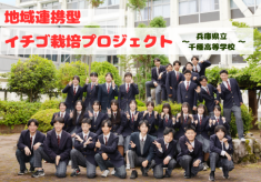 地域連携型イチゴ栽培プロジェクト