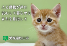 動物と人の幸せをつなぐプロジェクト