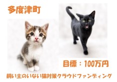 多度津町「飼い主のいない猫」対策支援プロジェクト　動物愛護クラウドファンディング