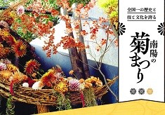 １１４年の歴史を誇る日本一の菊人形展「南陽の菊まつり」を盛り上げ菊のまちの技と文化を後世へ繋げたい