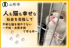 【第７弾】「にゃんこ」と「私」の共同宣言 ～不妊・去勢でにゃんとかすっべ～