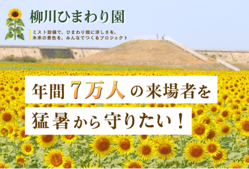 main_img