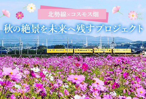 main_img