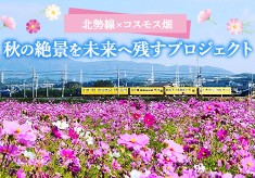 北勢線×コスモス畑！​ 秋の絶景を未来へ残すプロジェクト​