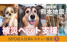 【緊急支援】令和8年熊本地震　被災地のペット飼養世帯を支援したい