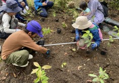 世界遺産・寺山の炭窯とどんぐりの森を次の世代に！寺山炭窯跡再生プロジェクト