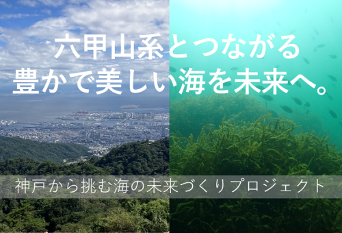 main_img