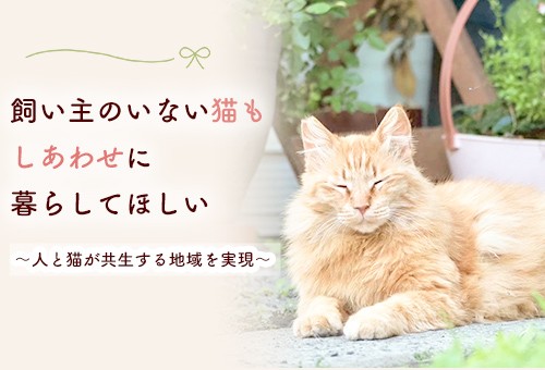 main_img
