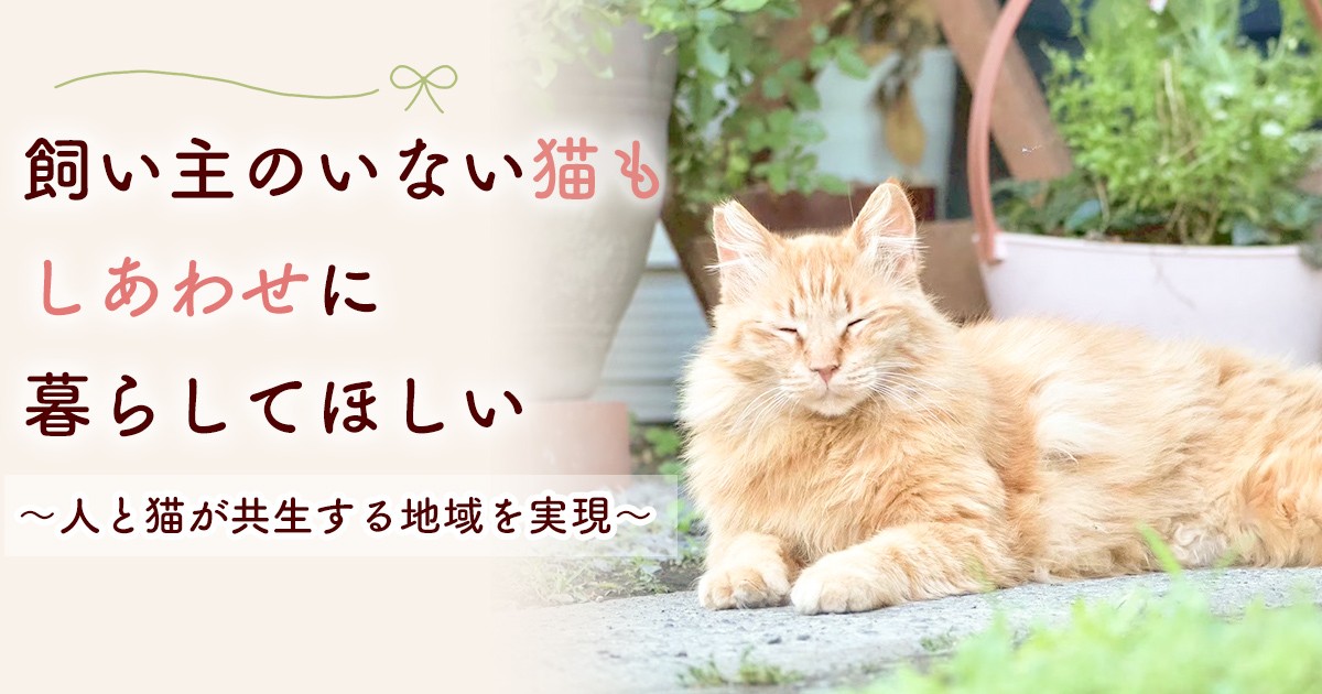 第3弾】「飼い主のいない猫」の不妊去勢手術推進プロジェクト