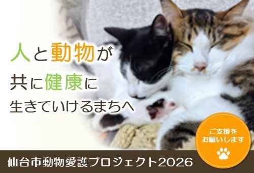 main_img