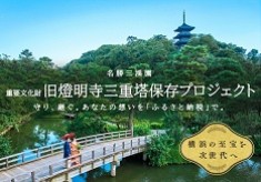 三溪園のシンボル、重要文化財「旧燈明寺三重塔」を次世代に継承したい！