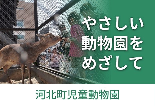 main_img