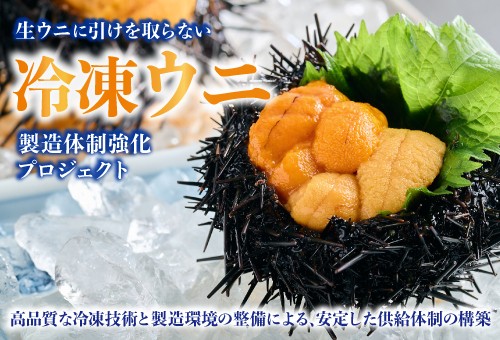 main_img