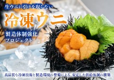 生ウニに引けを取らない冷凍ウニ製造体制強化プロジェクト