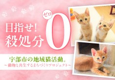 動物と共生するまちづくりプロジェクト
