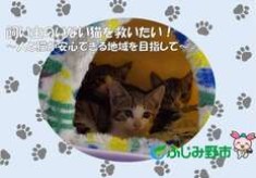 【10月1日から募集開始】飼い主のいない猫を救いたい！人と猫が安心できる地域を目指して