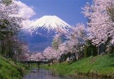 富士山の恵みを未来へ　ー水資源保全プロジェクトー　