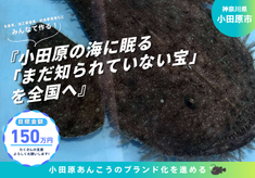 『小田原の海に眠る「まだ知られていない宝」を全国へ』
