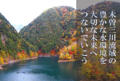 main_img