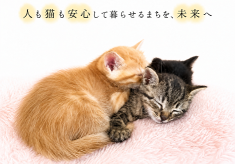 【第4弾】人も猫も安心して暮らせるまちを、未来へ。
