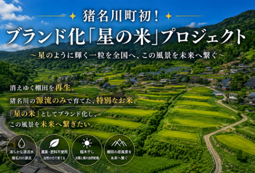 main_img