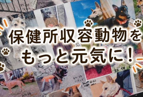 main_img