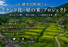 猪名川町初！ブランド化「星の米」プロジェクト～星のように輝く一粒を全国へ、この風景を未来へ繋ぐ～