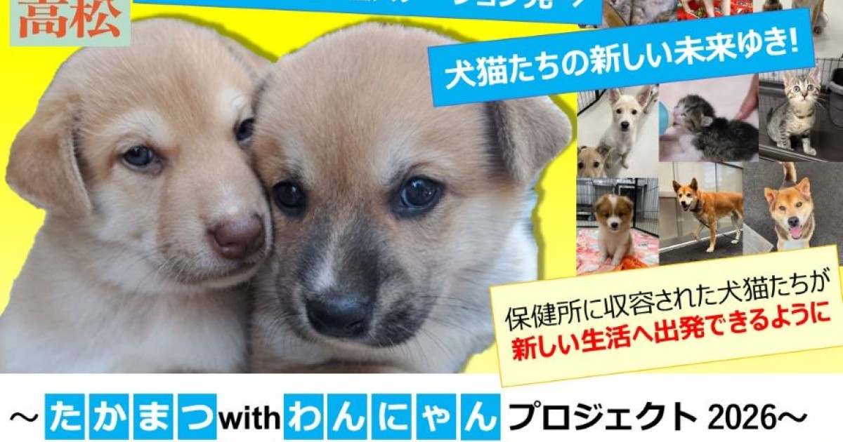 高松市動物管理ステーション発→犬猫たちの新しい未来ゆき！【たかまつ