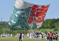 凧の大きさ日本一！「相模の大凧まつり」を未来へ繋ぎたい！