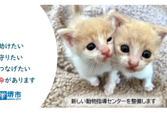明日へ命をつなぐために          理由なき殺処分ゼロをめざす活動にご支援をお願いします