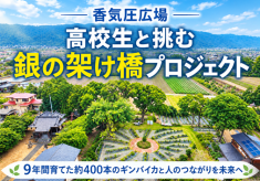 香気圧広場 高校生と挑む「銀の架け橋プロジェクト」９年間育てた約４００本のギンバイカと人のつながりを未来へ