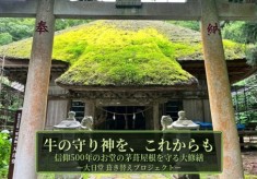 牛の守り神を、これからも。お堂の茅葺屋根を守る大修理 ー大日堂 茅葺屋根修理プロジェクトー