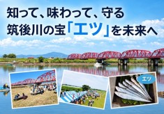 知って、味わって、守る。筑後川の宝「エツ」を未来へ