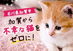 加賀から不幸な猫をゼロに！人にも猫にもやさしい加賀市へ