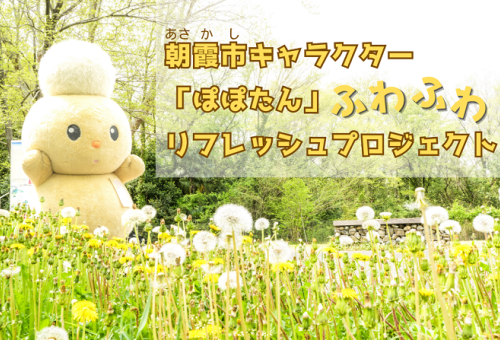 main_img
